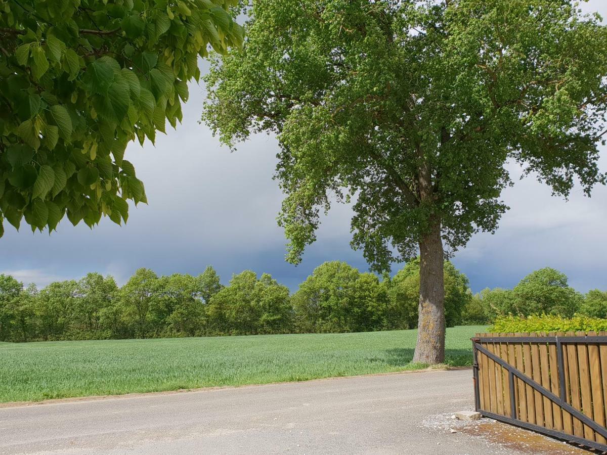 Domaine Du Cuiset -Gite Des Combles Villa Saint-André-sur-Vieux-Jonc Eksteriør billede